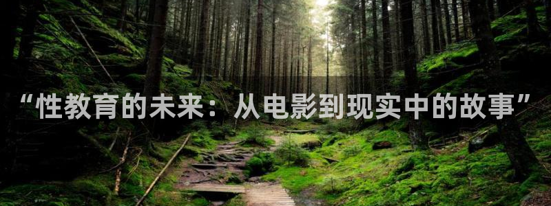 新宝5彩票娱乐平台