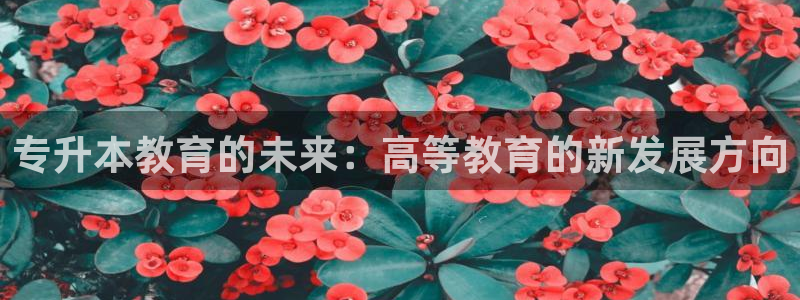 新宝5娱乐平台