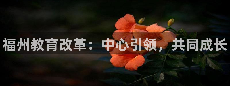 新宝5娱乐家