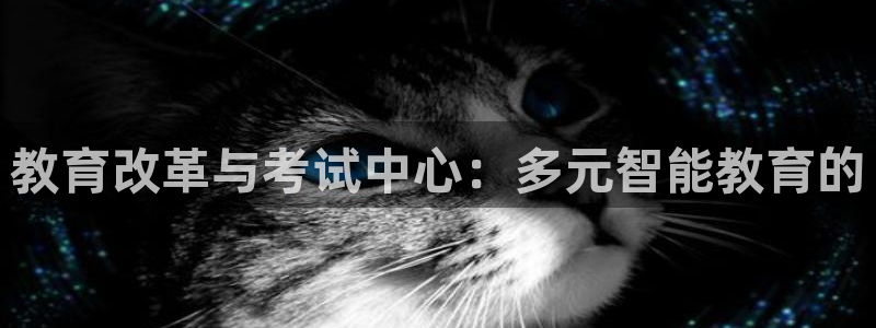 皇冠新宝5
