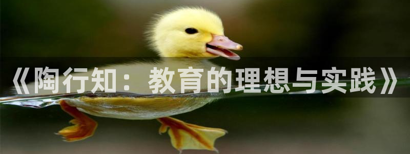 新宝5app手机下载