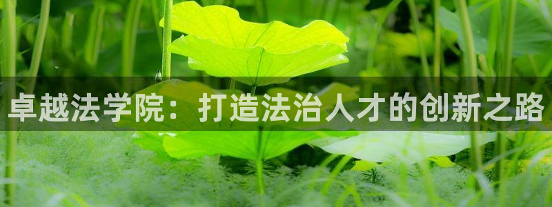 新宝5怎么下载到桌面