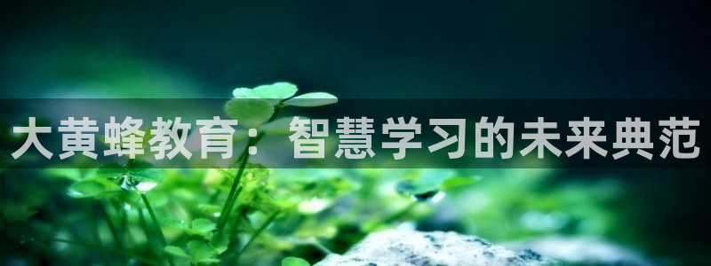 新宝5开好