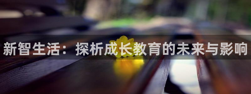 新宝5软件下载