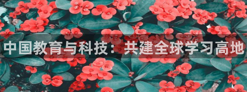 新宝5娱乐注