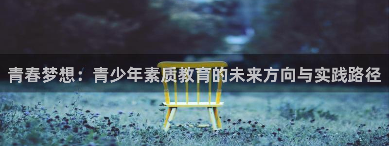 有人知道新宝5么