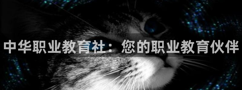 新宝5娱乐多