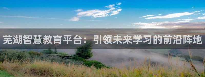 新宝5的网址