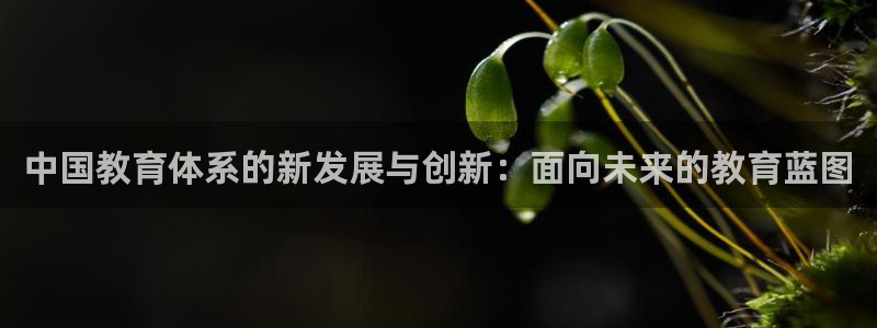 新宝5电脑
